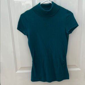 Teal Anne Taylor Petite Short Sleeve Women's Turtleneck Sweater